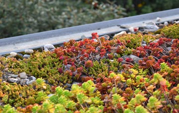 the cost of Lower Everleigh green roof installation