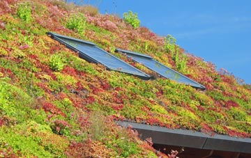 Lower Everleigh living roof systems