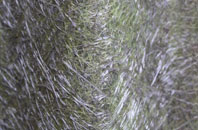 Lower Everleigh fibreglass roof work